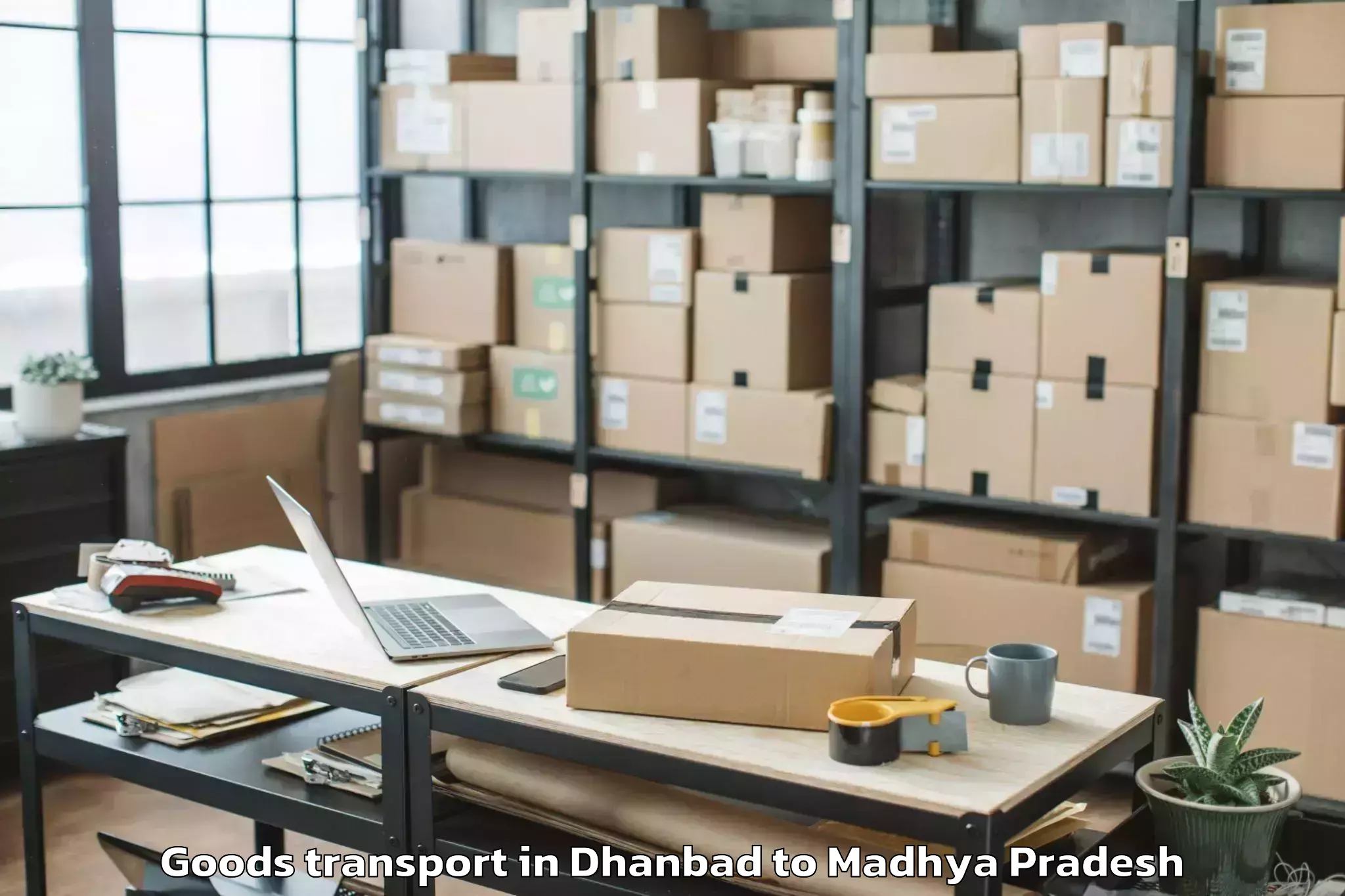 Expert Dhanbad to Thikri Goods Transport